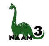 Verjaardag shirt Dino 🦕